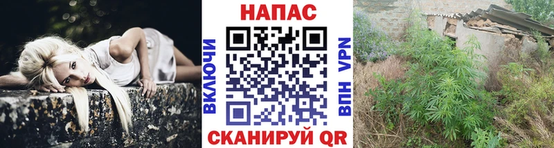 Бошки Шишки OG Kush Белоусово